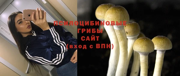 спайс Абинск