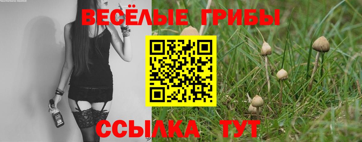 Галлюциногенные грибы ЛСД Фролово